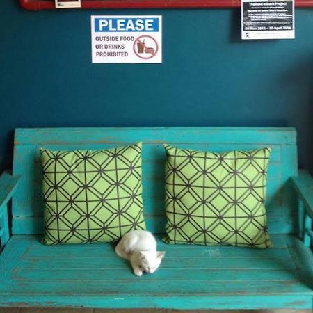 Monkey Dive Hostel Khaolak เขาหลัก ภายนอก รูปภาพ